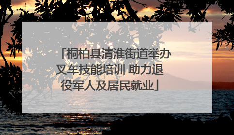 桐柏县清淮街道举办叉车技能培训 助力退役军人及居民就业