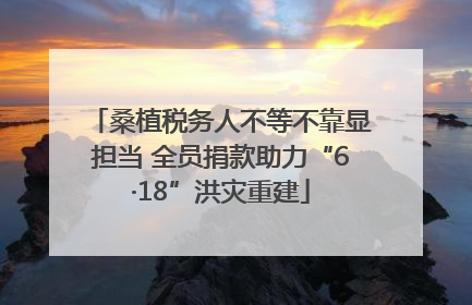 桑植税务人不等不靠显担当 全员捐款助力“6·18”洪灾重建