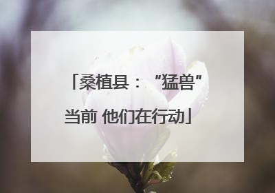 桑植县：“猛兽”当前 他们在行动