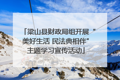 梁山县财政局组开展“美好生活 民法典相伴”主题学习宣传活动