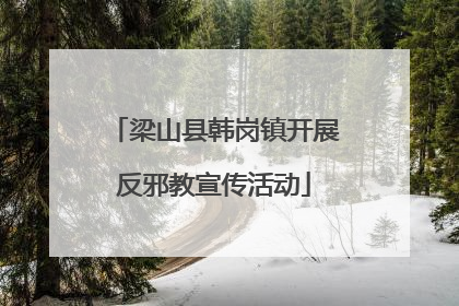 梁山县韩岗镇开展反邪教宣传活动