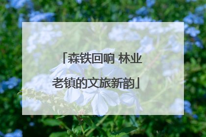 森铁回响 林业老镇的文旅新韵