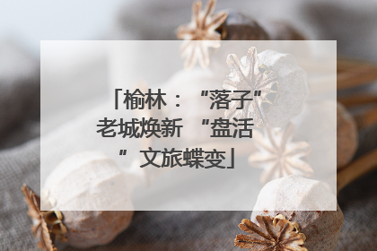 榆林：“落子”老城焕新 “盘活”文旅蝶变
