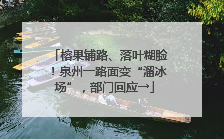 榕果铺路、落叶糊脸！泉州一路面变“溜冰场”，部门回应→