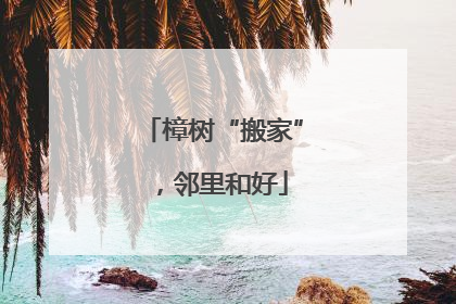 樟树“搬家”，邻里和好