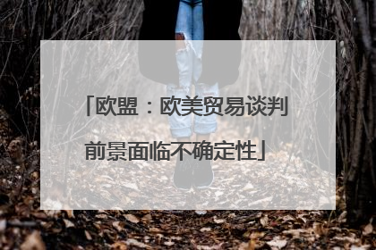 欧盟：欧美贸易谈判前景面临不确定性