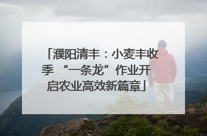 濮阳清丰：小麦丰收季 “一条龙”作业开启农业高效新篇章