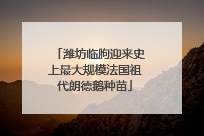 潍坊临朐迎来史上最大规模法国祖代朗德鹅种苗