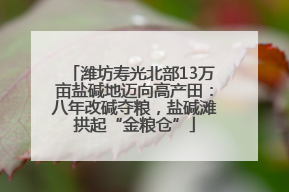 潍坊寿光北部13万亩盐碱地迈向高产田：八年改碱夺粮，盐碱滩拱起“金粮仓”