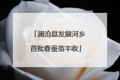 澜沧县发展河乡首批春蚕茧丰收