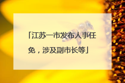 江苏一市发布人事任免，涉及副市长等
