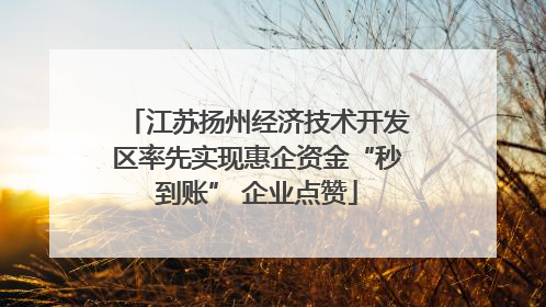 江苏扬州经济技术开发区率先实现惠企资金“秒到账” 企业点赞