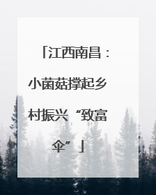 江西南昌：小菌菇撑起乡村振兴“致富伞”
