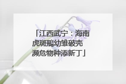 江西武宁：海南虎斑鳽幼雏破壳 濒危物种添新丁
