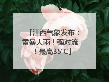 江西气象发布：雷暴大雨！强对流！最高35℃