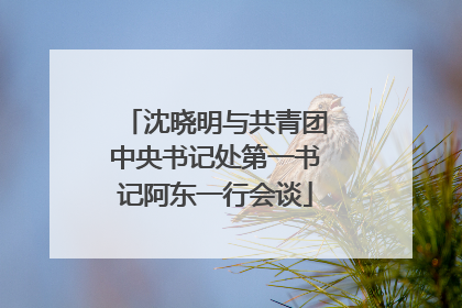 沈晓明与共青团中央书记处第一书记阿东一行会谈