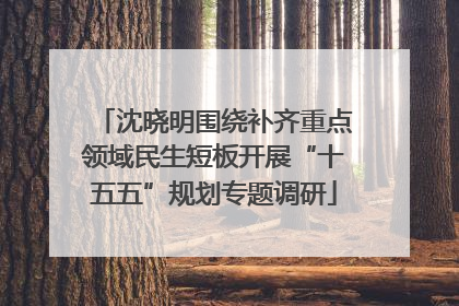 沈晓明围绕补齐重点领域民生短板开展“十五五”规划专题调研