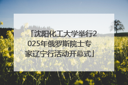 沈阳化工大学举行2025年俄罗斯院士专家辽宁行活动开幕式