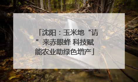 沈阳：玉米地“请”来赤眼蜂 科技赋能农业助绿色增产