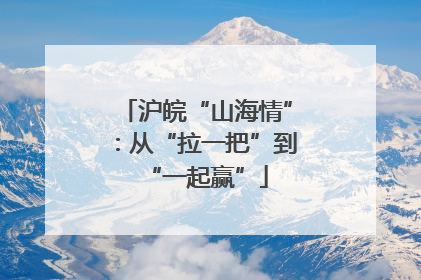 沪皖“山海情”：从“拉一把”到“一起赢”