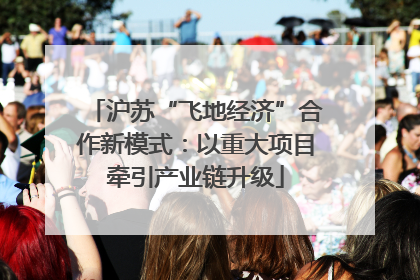 沪苏“飞地经济”合作新模式：以重大项目牵引产业链升级