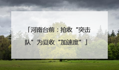 河南台前：抢收“突击队”为夏收“加速度”