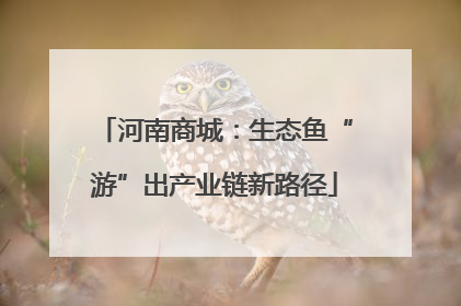 河南商城：生态鱼“游”出产业链新路径