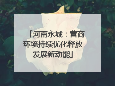 河南永城：营商环境持续优化释放发展新动能