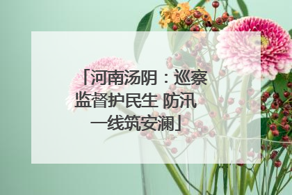 河南汤阴：巡察监督护民生 防汛一线筑安澜