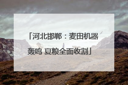 河北邯郸：麦田机器轰鸣 夏粮全面收割