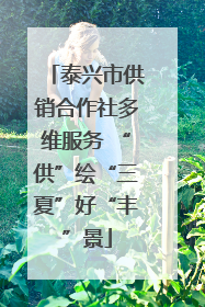 泰兴市供销合作社多维服务 “供”绘“三夏”好“丰”景