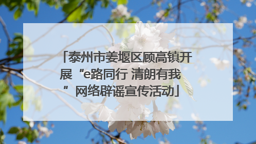 泰州市姜堰区顾高镇开展“e路同行 清朗有我”网络辟谣宣传活动