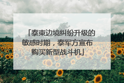泰柬边境纠纷升级的敏感时期，泰军方宣布购买新型战斗机