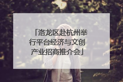 洛龙区赴杭州举行平台经济与文创产业招商推介会