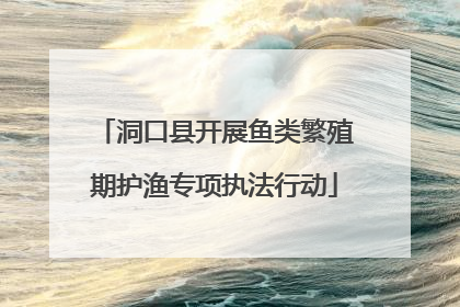 洞口县开展鱼类繁殖期护渔专项执法行动