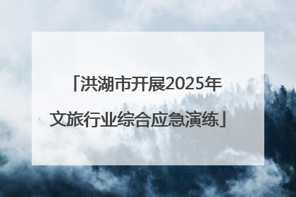 洪湖市开展2025年文旅行业综合应急演练