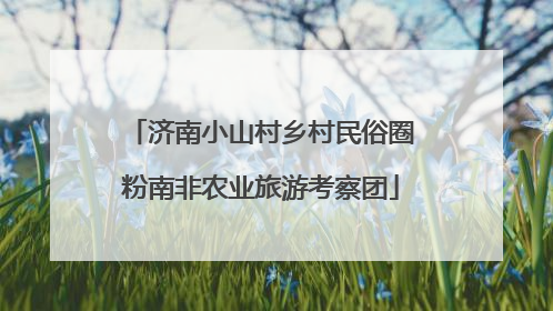 济南小山村乡村民俗圈粉南非农业旅游考察团