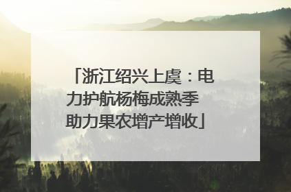 浙江绍兴上虞：电力护航杨梅成熟季 助力果农增产增收