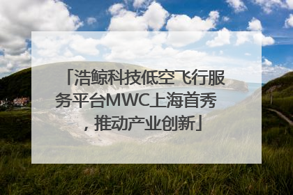 浩鲸科技低空飞行服务平台MWC上海首秀，推动产业创新