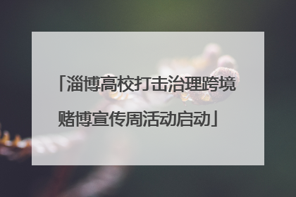 淄博高校打击治理跨境赌博宣传周活动启动
