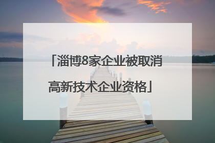 淄博8家企业被取消高新技术企业资格