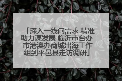 深入一线问需求 精准助力谋发展 临沂市台办 市港澳办商城出海工作组到平邑县走访调研