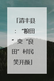 清丰县：“粮田”变“良田”村民笑开颜