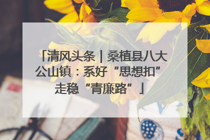 清风头条｜桑植县八大公山镇：系好“思想扣” 走稳“青廉路”