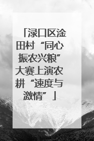 渌口区淦田村“同心振农兴粮”大赛上演农耕“速度与激情”