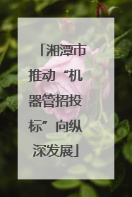 湘潭市推动“机器管招投标”向纵深发展