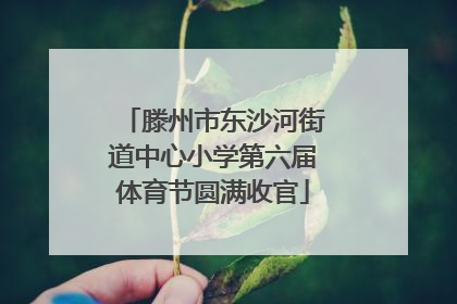 滕州市东沙河街道中心小学第六届体育节圆满收官