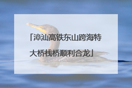 漳汕高铁东山跨海特大桥栈桥顺利合龙