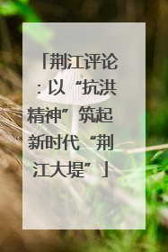 荆江评论：以“抗洪精神”筑起新时代“荆江大堤”