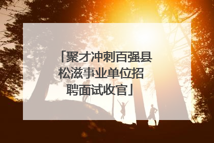 聚才冲刺百强县 松滋事业单位招聘面试收官